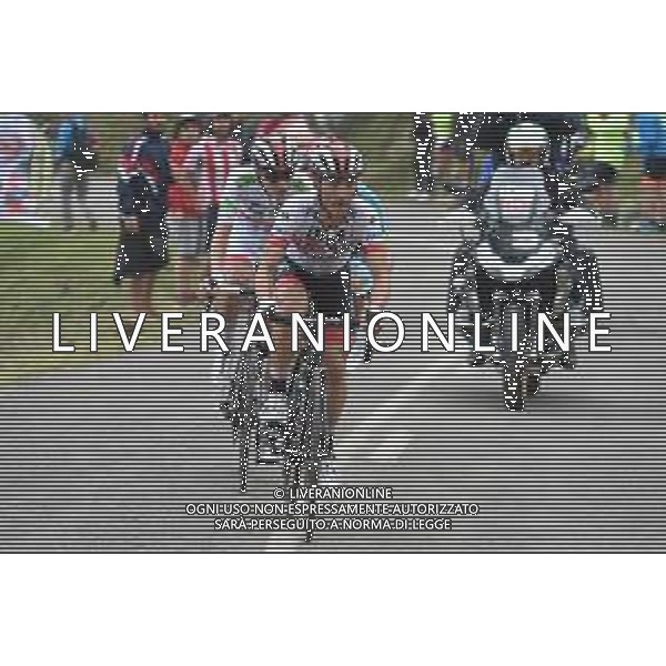 09-09-2019 Vuelta A Espana; Tappa 16 Pravia - Alto De La Cubilla; 2019, Uae - Emirates; Conti, Valerio; Alto De La Cubilla; ©SIROTTI / AGENZIA ALDO LIVERANI SAS