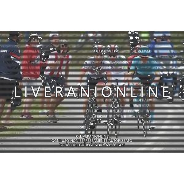 09-09-2019 Vuelta A Espana; Tappa 16 Pravia - Alto De La Cubilla; 2019, Uae - Emirates; Conti, Valerio; Pogacar, Tadej; Alto De La Cubilla; ©SIROTTI / AGENZIA ALDO LIVERANI SAS
