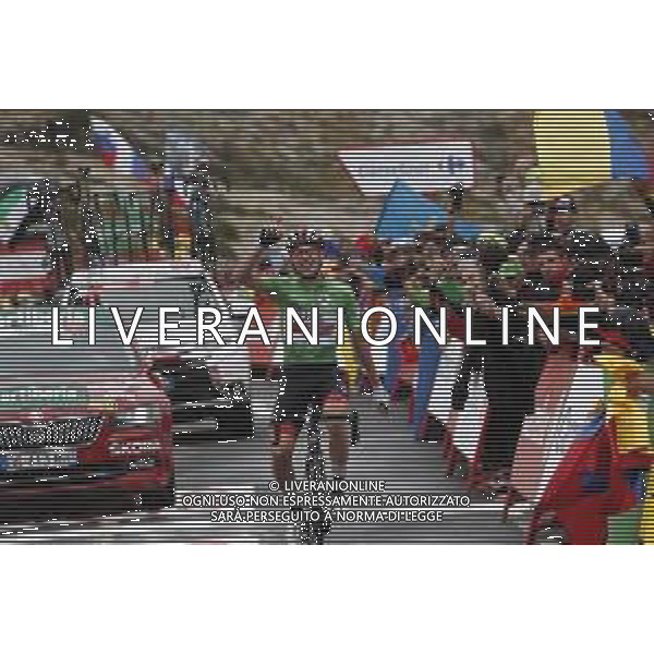 14-09-2019 Vuelta A Espana; Tappa 20 Arenas De San Pedro - Plataforma De Gredos; 2019, Uae - Emirates; Pogacar, Tadej; Plataforma De Gredos; ©SIROTTI / AGENZIA ALDO LIVERANI SAS
