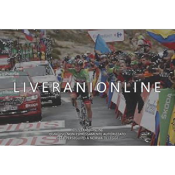 14-09-2019 Vuelta A Espana; Tappa 20 Arenas De San Pedro - Plataforma De Gredos; 2019, Uae - Emirates; Pogacar, Tadej; Plataforma De Gredos; ©SIROTTI / AGENZIA ALDO LIVERANI SAS