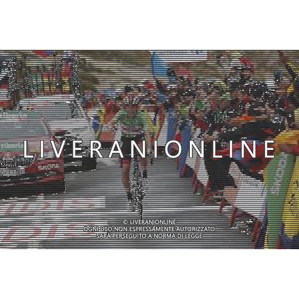 14-09-2019 Vuelta A Espana; Tappa 20 Arenas De San Pedro - Plataforma De Gredos; 2019, Uae - Emirates; Pogacar, Tadej; Plataforma De Gredos; ©SIROTTI / AGENZIA ALDO LIVERANI SAS