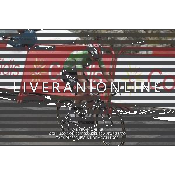 14-09-2019 Vuelta A Espana; Tappa 20 Arenas De San Pedro - Plataforma De Gredos; 2019, Uae - Emirates; Pogacar, Tadej; Plataforma De Gredos; ©SIROTTI / AGENZIA ALDO LIVERANI SAS