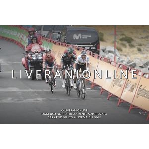 14-09-2019 Vuelta A Espana; Tappa 20 Arenas De San Pedro - Plataforma De Gredos; 2019, Movistar; 2019, Bora - Hansgrohe; 2019, Bahrain - Merida; Valverde, Alejandro; Majka, Rafal; Pernsteiner, Hermann; Plataforma De Gredos; ©SIROTTI / AGENZIA ALDO LIVERANI SAS