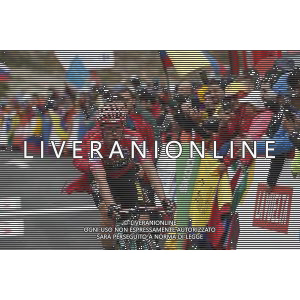 14-09-2019 Vuelta A Espana; Tappa 20 Arenas De San Pedro - Plataforma De Gredos; 2019, Jumbo - Visma; Roglic, Primoz; Plataforma De Gredos; ©SIROTTI / AGENZIA ALDO LIVERANI SAS