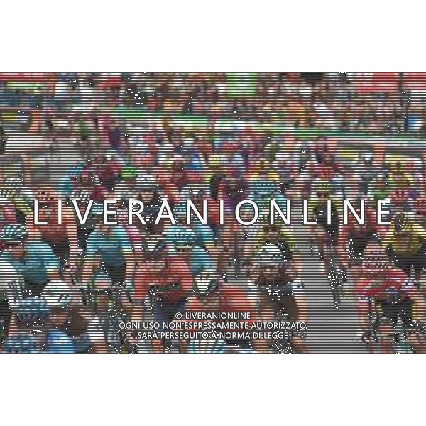 15-09-2019 Vuelta A Espana; Tappa 21 Fuenlabrada - Madrid; 2019, Jumbo - Visma; Roglic, Primoz; Madrid; ©SIROTTI / AGENZIA ALDO LIVERANI SAS