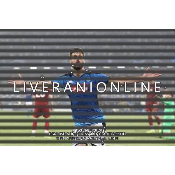 NAPOLI - LIVERPOOL UEFA CHAMPIONS LEAGUE 17.09.2019 NELLA FOTO: ESULTANZA DOPO IL GOL DI FERNANDO LLORENTE © MOSCA / AGENZIA ALDO LIVERANI SAS