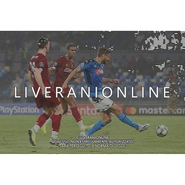 NAPOLI - LIVERPOOL UEFA CHAMPIONS LEAGUE 17.09.2019 NELLA FOTO: IL GOL DI FERNANDO LLORENTE © MOSCA / AGENZIA ALDO LIVERANI SAS