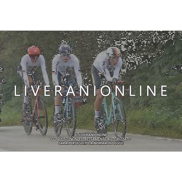 22-09-2019 World Championships Mixed Relay; 2019, Germany; Martin, Tony; Politt, Nils; Sutterlin, Jasha; - Mondiale Ciclismo Yorkshire 2019 Harrogate (GB) ©SIROTTI / AGENZIA ALDO LIVERANI SAS