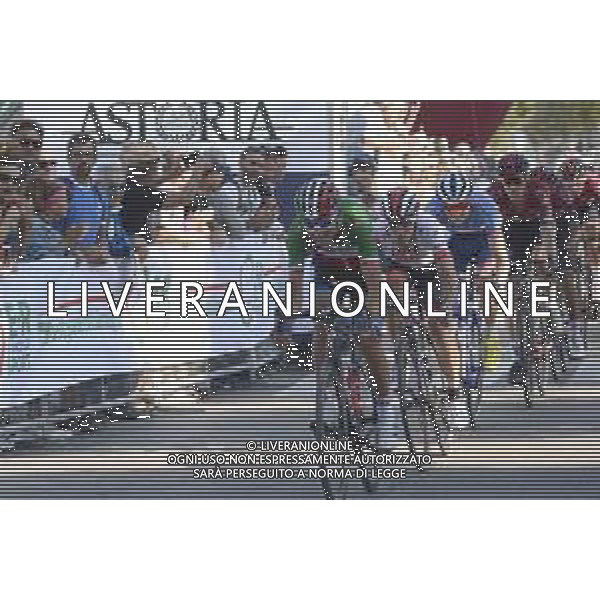 21-09-2019 Memorial Pantani; 2019, Bora - Hansgrohe; 2019, Uae - Emirates; Formolo, Davide; Conti, Valerio; Cesenatico; © SIROTTI / AGENZIA ALDO LIVERANI SAS