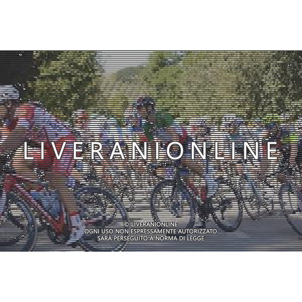 21-09-2019 Memorial Pantani; 2019, Bora - Hansgrohe; Formolo, Davide; Castrocaro; © SIROTTI / AGENZIA ALDO LIVERANI SAS