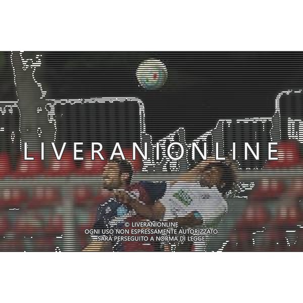 IMOLA 25 09 2019 IMOLESE CALCIO-VIRTUS VERONA SERIE C NELLA FOTO FALLO DI STEFANO PAVAN X CARTELINO ROSSO © SANNA / AGENZIA ALDO LIVERANI SAS