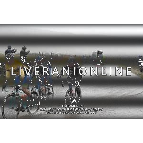 29-09-2019 World Championships Elite; 2019, Jumbo - Visma; 2019, Movistar; Roglic, Primoz; Quintana Rojas Nairo, Alexander; ©SIROTTI / AGENZIA ALDO LIVERANI SAS