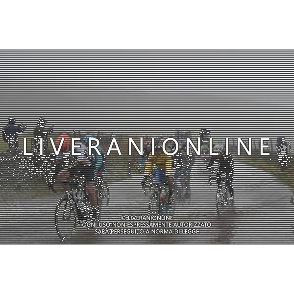 29-09-2019 World Championships Elite; 2019, Jumbo - Visma; Roglic, Primoz; ©SIROTTI / AGENZIA ALDO LIVERANI SAS