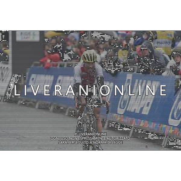 29-09-2019 World Championships Elite; 2019, Mitchelton - Scott; Albasini, Michael; Harrogate; ©SIROTTI / AGENZIA ALDO LIVERANI SAS