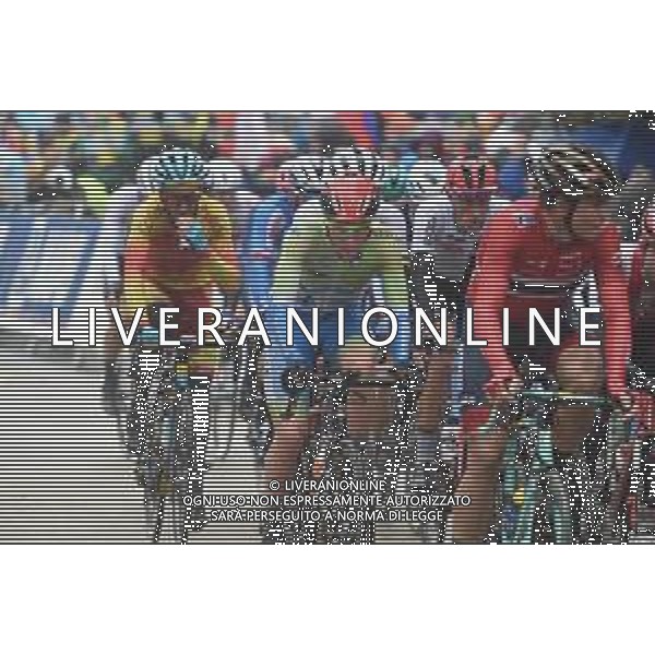 29-09-2019 World Championships Elite; 2019, Uae - Emirates; Pogacar, Tadej; Harrogate; ©SIROTTI / AGENZIA ALDO LIVERANI SAS
