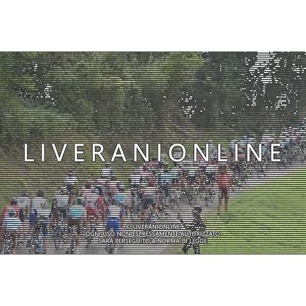 06-10-2019 Gp Beghelli; Salita Di Zappolino; ©SIROTTI / AGENZIA ALDO LIVERANI SAS