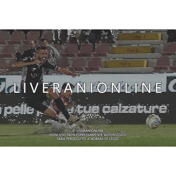 VICENZA - CESENA CAMPIONATO CALCIO SERIE C 07.10.2019 NELLA FOTO IL FALLO DEL RIGORE ©GARBUIO / AGENZIA ALDO LIVERANI SAS
