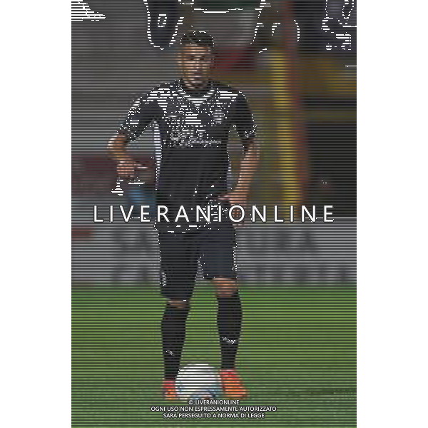 VICENZA 07 OTTOBRE 2019 L.R. VICENZA VS CESENA NELLA FOTO:FRANCHINI SIMONE FOTO P. G/AG.ALDO LIVERANI/ AGENZIA ALDO LIVERANI SAS