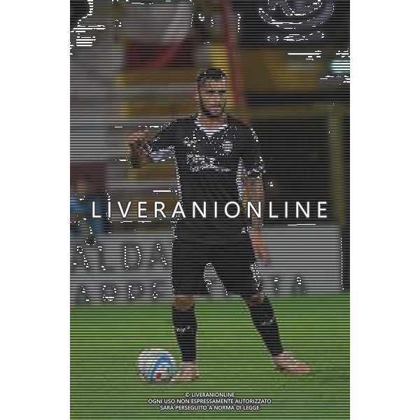 VICENZA 07 OTTOBRE 2019 L.R. VICENZA VS CESENA NELLA FOTO:FRANCO DOMENICO FOTO P. G/AG.ALDO LIVERANI/ AGENZIA ALDO LIVERANI SAS