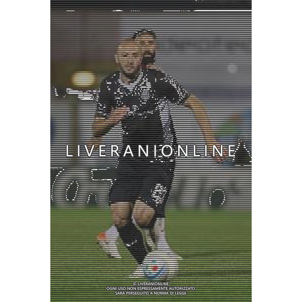 VICENZA 07 OTTOBRE 2019 L.R. VICENZA VS CESENA NELLA FOTO:SABATO ROBERTO FOTO P. G/AG.ALDO LIVERANI/ AGENZIA ALDO LIVERANI SAS