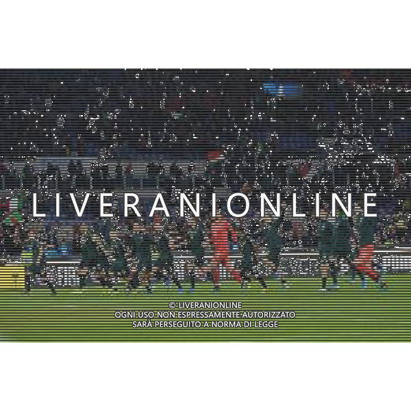 Roma 12.10.2019 Stadio Olimpico 12.10.2019 Italia vs Grecia Qualiificazioni Euro 2020 ©Viganti/Agenzia Aldo Liverani Nella foto: festa italia per la qualificazione a euro 2020