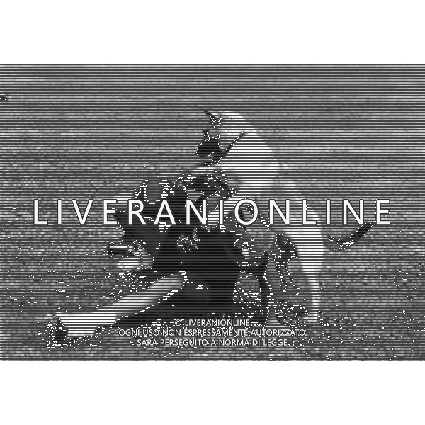 RETROSPETTIVA FRANCESCO DELL\'ANNO CALCIATORE NELLA FOTO FRANCESCO DELL\'ANNO IN ALLENAMENTO CON IL CANE AD APPIANO GENTILE AG ALDO LIVERANI SAS