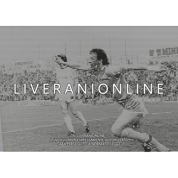 RETROSPETTIVA TULLIO GRITTI CALCIATORE NELLA FOTO TULLIO GRITTI CON LA MAGLIA DEL BRESCIA CALCIO AG ALDO LIVERANI SAS