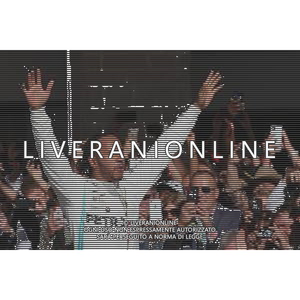 2nd place and new world champion Lewis Hamilton (GBR) Mercedes AMG F1 W10. 03.11.2019. Formula 1 World Championship, Rd 19, United States Grand Prix, Austin, Texas, USA, Race Day. AG ALDO LIVERANI SAS-ONLY ITALY