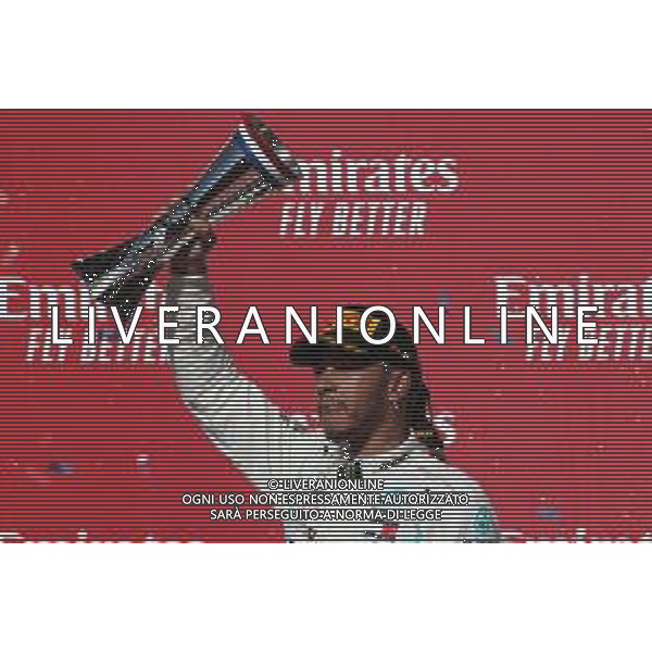 2nd place and new world champion Lewis Hamilton (GBR) Mercedes AMG F1 W10. 03.11.2019. Formula 1 World Championship, Rd 19, United States Grand Prix, Austin, Texas, USA, Race Day. AG ALDO LIVERANI SAS-ONLY ITALY