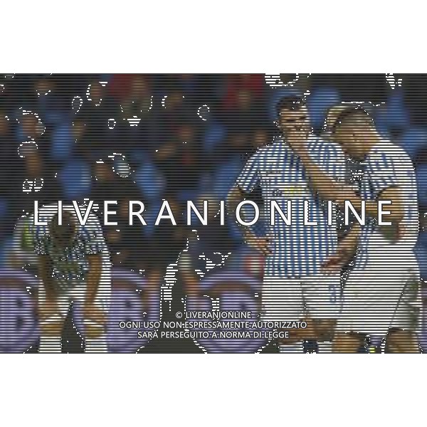 Spal - Sampdoria Campionato di Calcio Serie A TIM 04/11/2019 nella foto: delusione spal ©Claudio Zamagni/Agenzia Aldo Liverani delusion of spal during Italian Serie A soccer match between S.P.A.L. Ferrara and S.S. SAMPDORIA at Ferrara Paolo Mazza Stadium on November 04 2019 photo credit by Claudio Zamagni/Aldo Liverani Photo Agency