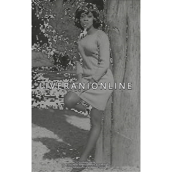 Lola Falana, pseudonimo di Loletha Elaine Falana, è una conduttrice televisiva, showgirl, attrice, cantante e religiosa statunitense NELLA FOTO LOLA FALANA NELL\'ANNO 1967 AG ALDO LIVERANI SAS