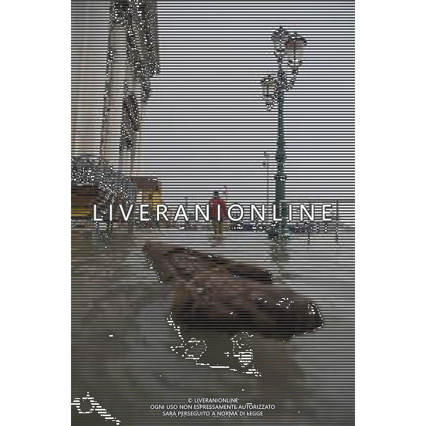 Venezia 13 novembre 19 ore 10.30