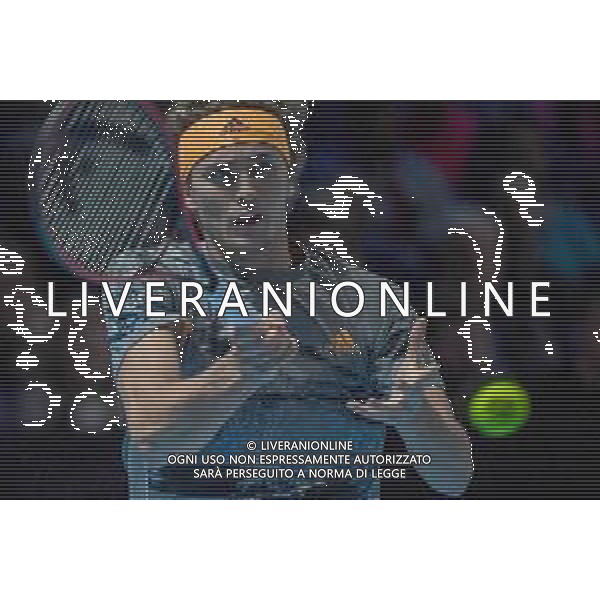 Internazionali di Tennis Londra, Italia 13/11/2019 Nitto ATP Final STEFANOS TSITSIPAS Vs ALEXANDER ZVEREV Nella foto: Alexander Zverev (GER) FOTO ROBERTO ZANETTINI-ALESSIO MARINI-AG ALDO LIVERANI SAS