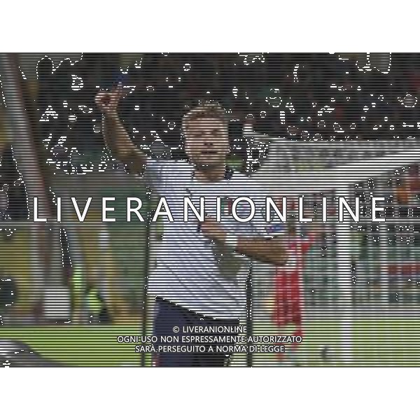 18-11-2019 Palermo : italia - armenia qualificazioni europei 2020 Nella foto: esultanza dopo il gol di ciro immobile del 1-0 GIUSEPPE SERGI/AG ALDO LIVERANI SAS