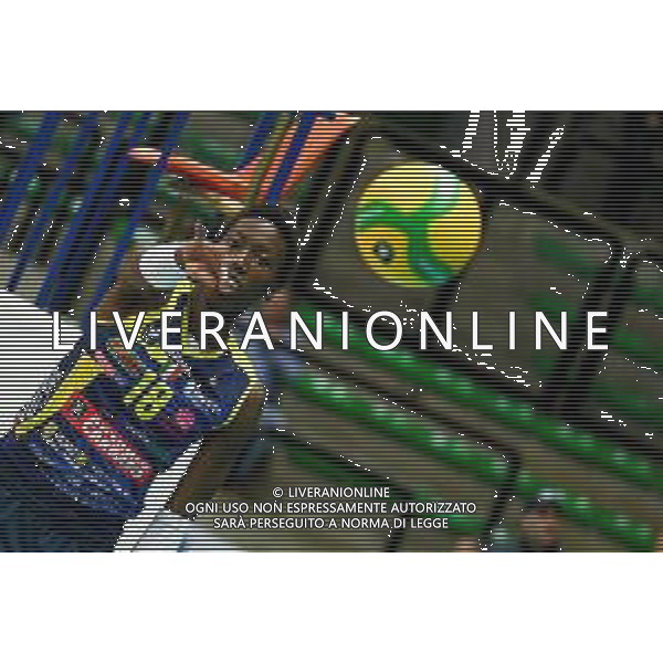 Volley Champions League Women 2019/2020 Treviso, Italia 19/11/2019 Carraro Imoco Conegliano vs Vasas Obuda Budapest Nella foto: Paola Egonu (Conegliano) foto ettore griffoni-alessio marini-ag aldo liverani sas