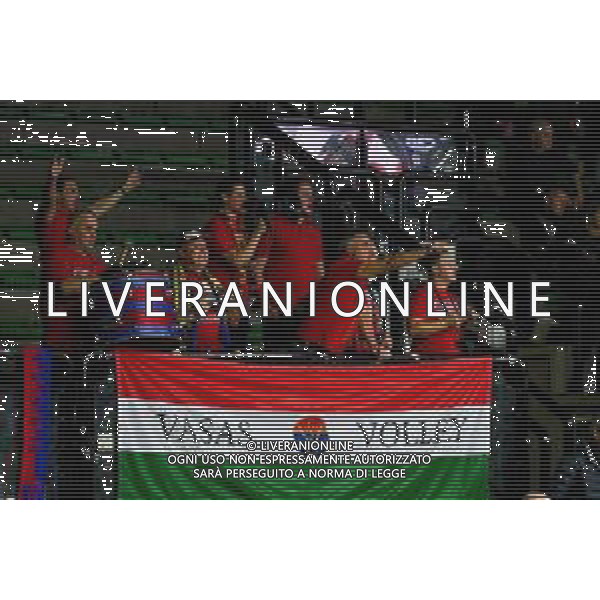 Volley Champions League Women 2019/2020 Treviso, Italia 19/11/2019 Carraro Imoco Conegliano vs Vasas Obuda Budapest Nella foto: Tifosi del Vasas Obuda Budapest foto ettore griffoni-alessio marini-ag aldo liverani sas