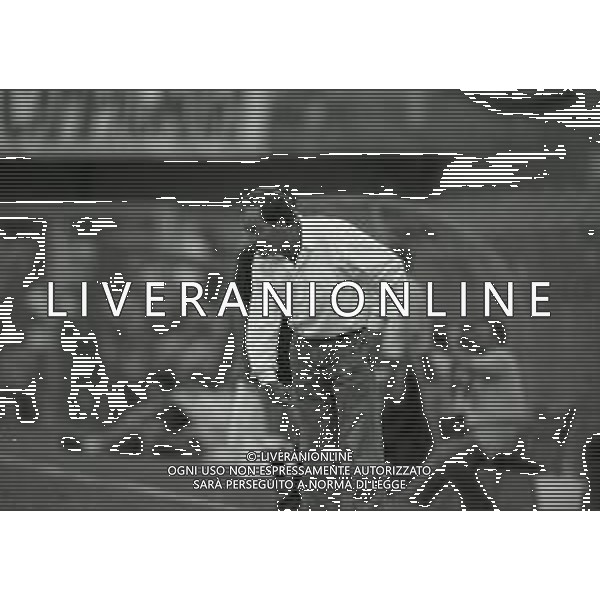 RETROSPETTIVA RENZO ULIVIERI ALLENATORE NELLA FOTO RENZO ULIVIERI ALLENATORE NELL\'ANNO 1992-1993 ALLENATORE DEL VICENZA CALCIO AG ALDO LIVERANI SAS