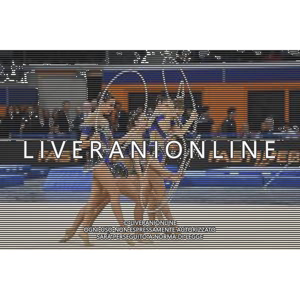 le ginnaste della Squadra Nazionale di Ginnastica Ritmica Fastweb Grand Prix di Ginnastica Milano 23-11-2019 Allianz Cloud PalaLido foto Roberto Garavaglia - ag. Aldo Liverani sas
