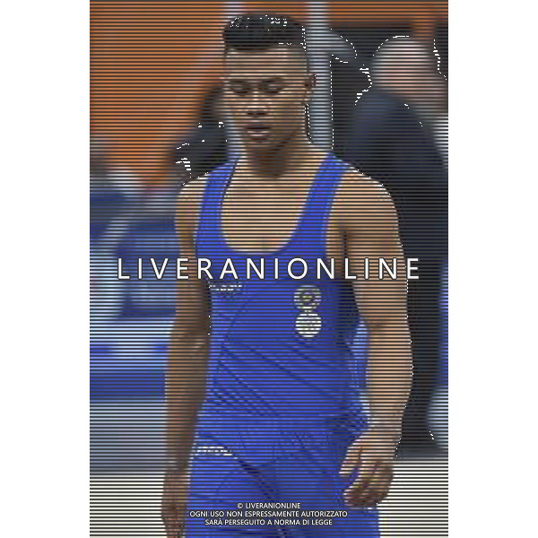 Lay Giannini Fastweb Grand Prix di Ginnastica Milano 23-11-2019 Allianz Cloud PalaLido foto Roberto Garavaglia - ag. Aldo Liverani sas
