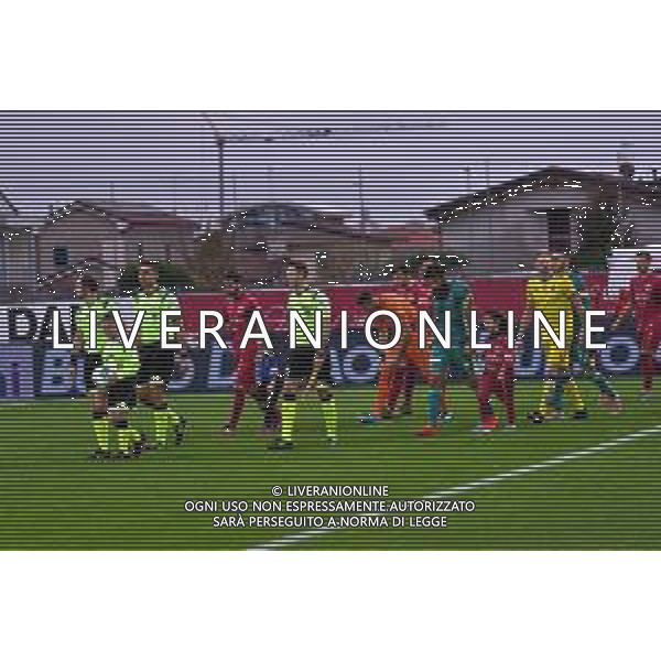 Campionato Italiano di Calcio Serie B 2019/2020 Cittadella (PD), Italia 24/11/2019 Cittadella vs Pisa Nella foto: i giocatori entranon campo FOTO ALESSIO MARINI-AG ALDO LIVERANI SAS