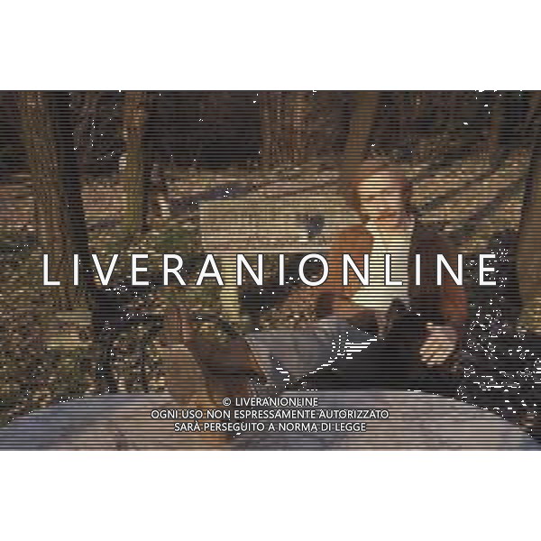 RETROSPETTIVA CRISTIANO MINELLONO -Cristiano Minellono, nome d\'arte di Cristiano Minellono dei S. Martino d\'Arundello, detto anche Popy, è un attore e paroliere italiano NELLA FOTO CRISTIANO MINELLONO AG ALDO LIVERANI SAS