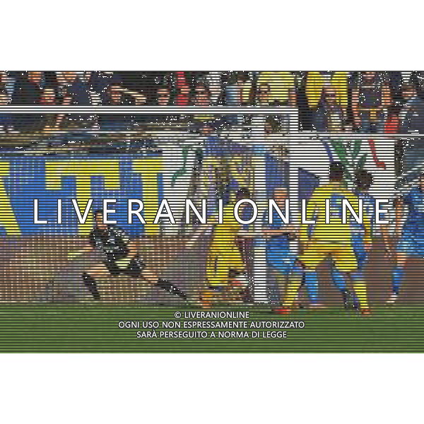 Frosinone vs Empoli Campionato Serie B - 14 giornata Stadio Benito Stirpe - Frosinone 30-11-2019 nella foto Gol Andrea Beghetto ©federico Gaetano/AGENZIA ALDO LIVERANI SAS