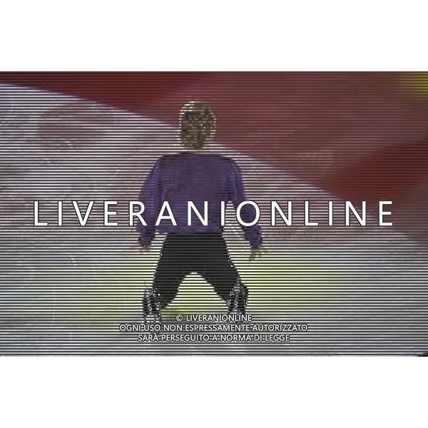 Evgeni Plushenko (RUS) Golden Skate Awards 2019 Milano 30-11-2019 Allianz Cluod PalaLido foto Roberto Garavaglia - ag. Aldo Liverani sas