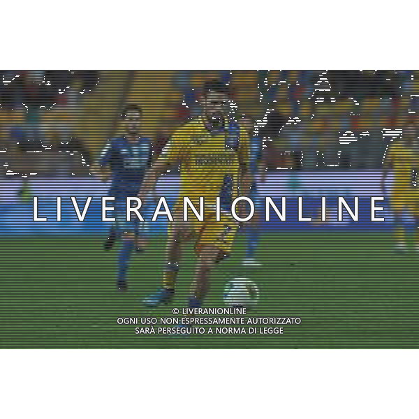 Frosinone vs Empoli Campionato Serie B - 14 giornata Stadio Benito Stirpe - Frosinone 30-11-2019 nella foto Luca Paganini FOTO FEDERICO GAETANO-AG ALDO LIVERANI SAS