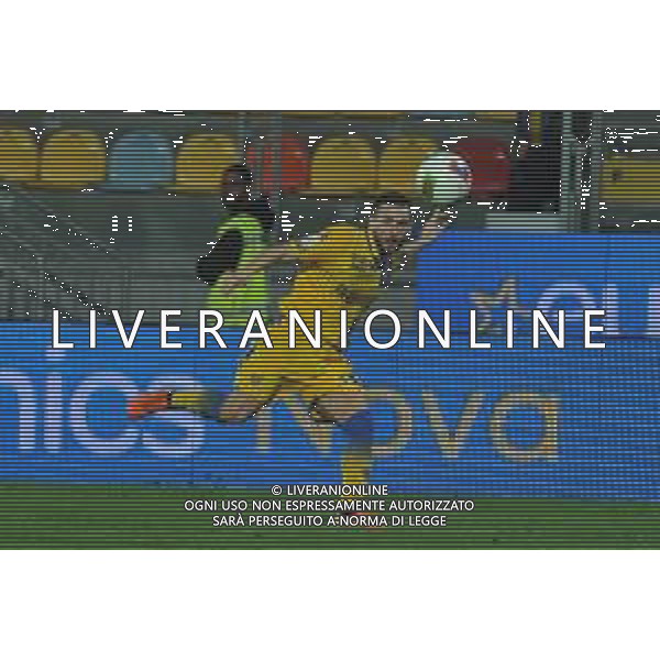 Frosinone vs Empoli Campionato Serie B - 14 giornata Stadio Benito Stirpe - Frosinone 30-11-2019 nella foto Andrea Beghetto FOTO FEDERICO GAETANO-AG ALDO LIVERANI SAS