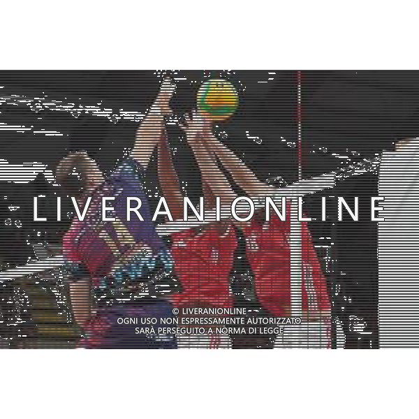 Volley Champions League Men 2019/2020 Perugia, Italia 04/12/2019 Sir Sicoma Monini Perugia vs Benfica Lisbona Nella foto: saleksandar atanasijevic (n.14 opposto sir safety conad perugia) schiaccia FOTO LORIS CERQUIGLINI-ALESSIO MARINI-AG ALDO LIVERANI SAS