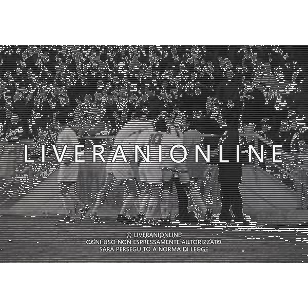 08-01-1995 PARMA-CAMPIONATO DI CALCIO SERIE A PARMA JUVENTUS 1-3 NELLA FOTO ABBRACCI GIOCATORI PARMA DOPO IL GOAL AG ALDO LIVERANI SAS