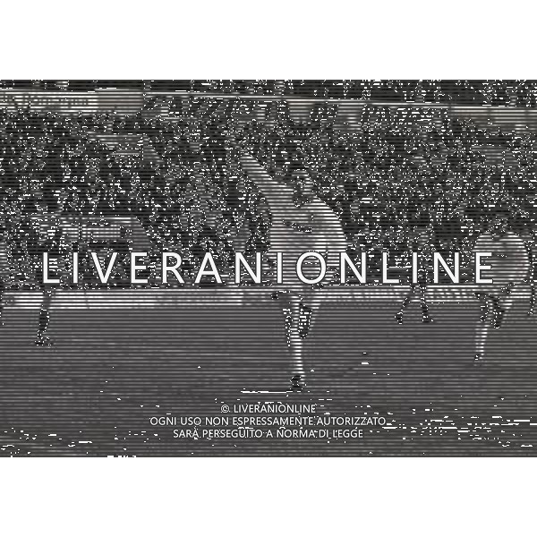 08-01-1995 PARMA-CAMPIONATO DI CALCIO SERIE A PARMA JUVENTUS 1-3 NELLA FOTO ESULTANZA DOPO IL GOAL DI DINO BAGGIO AG ALDO LIVERANI SAS
