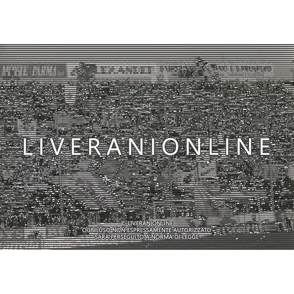 08-01-1995 PARMA-CAMPIONATO DI CALCIO SERIE A PARMA JUVENTUS 1-3 NELLA FOTO TIFOSI PARMA CALCIO AG ALDO LIVERANI SAS