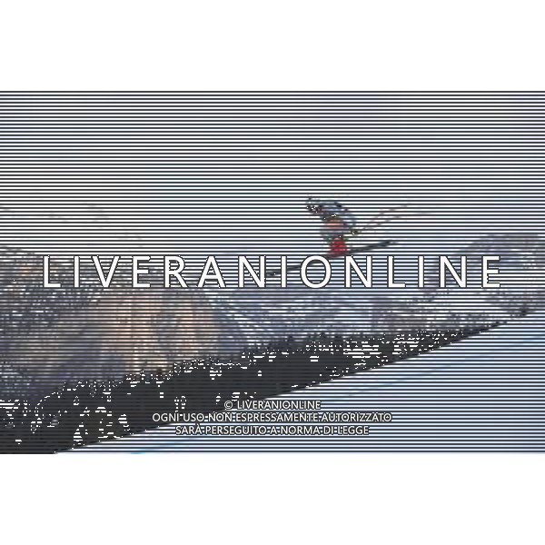 Sci Alpino Val Gardena, Italia 19/12/2019 Coppa del Mondo - Allenamento Discesa Libera Maschile Nella foto: KILDE Aleksander Aamodt (NOR) SECOND CLASSIFIED ©LM/Sergio Bisi-Alessio Marini/AGENZIA ALDO LIVERANI SAS